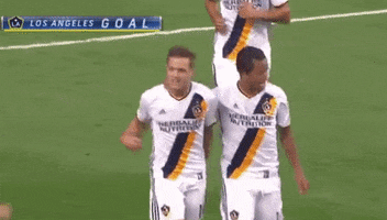 mike magee soccer GIF by LA Galaxy