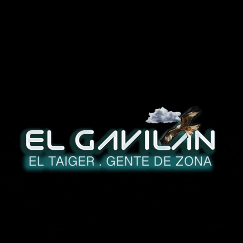 GIF by Gente De Zona