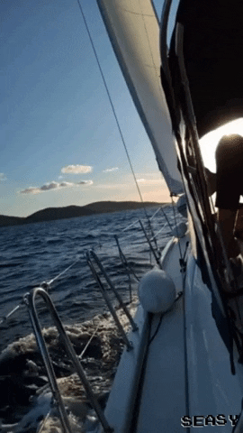 SeasyOfficial giphygifmaker sea wind sailing GIF