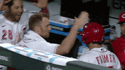 Tommy Pham Baseball GIF by Cincinnati Reds