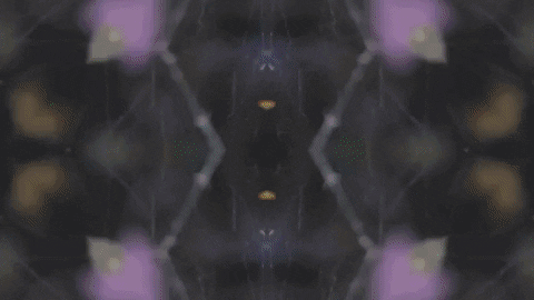 Art Film GIF by jorgemariozuleta