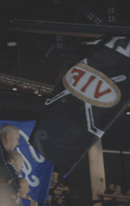 VIFHockey giphyupload hockey fan e GIF