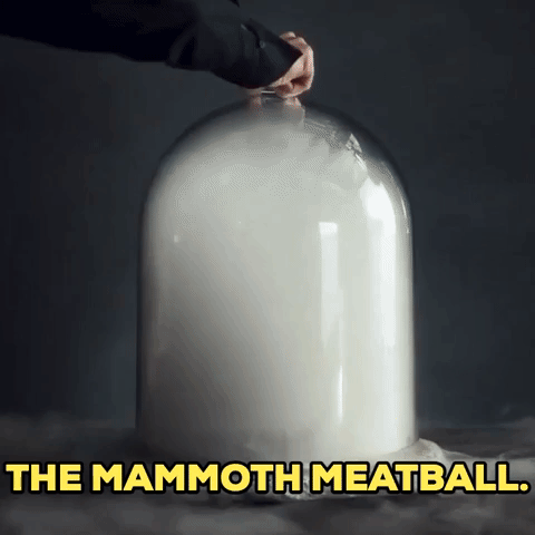 The Mammoth Meatball