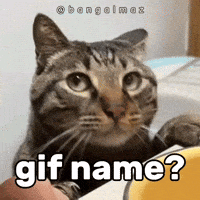 Gif Name GIF