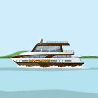 DoYouMoose summer water ocean success GIF