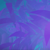 GIF by Pi-Slices