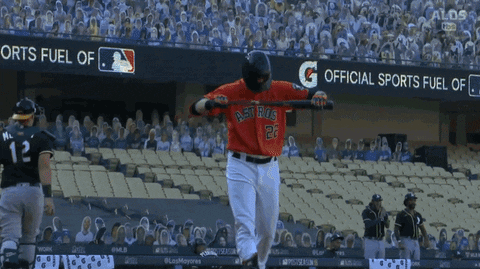 stv7 giphyupload GIF