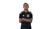 Football Futbol Sticker by MiSelecciónMX