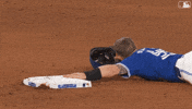 Blue Jays Baseball GIF by Toronto Blue Jays