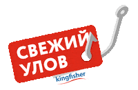 Устрицы Sticker by KingfisherKZ