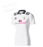 spain rugby Sticker