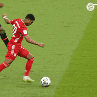 Dfb Pokal Celebration GIF by FC Bayern Munich