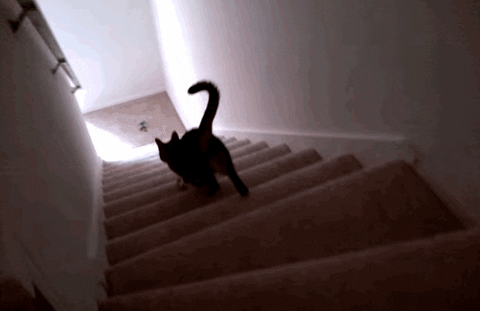 stairs GIF