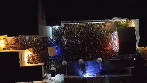 isismaria7675 giphygifmaker GIF