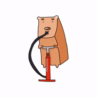 toastdog good fighting 加油 toast9 GIF