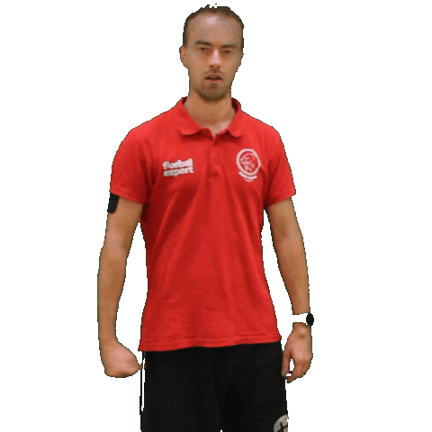 Sport Celebrate Sticker by Panthers Praha