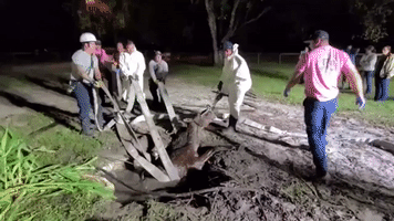 Florida Firefighters Rescue Horse Trapped in Septic Tank