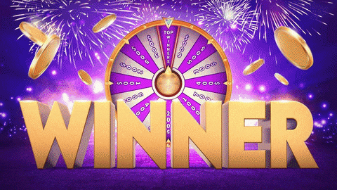 metaspins giphyupload winner metaspins GIF