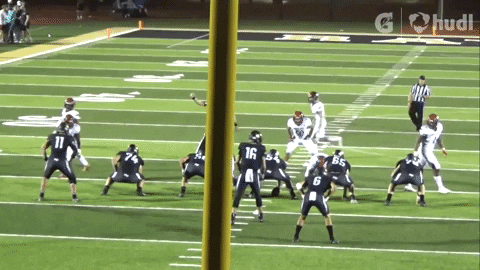 dpcoon giphygifmaker GIF