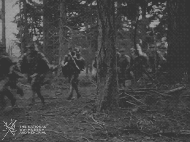 NationalWWIMuseum giphyupload black and white running forest GIF