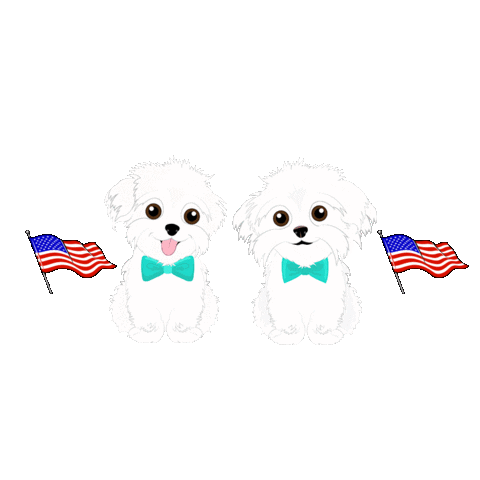 American Flag Sticker by HammyandBrody
