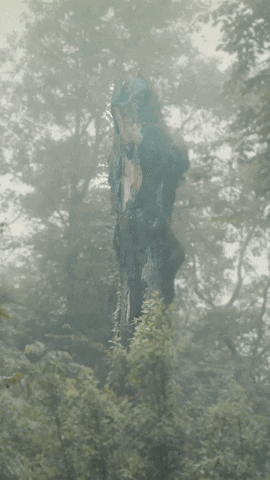 Dog Party GIF