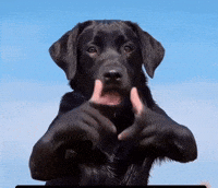 Dog Barking GIF