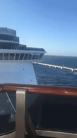 Passenger Films Cruise Ships Colliding in Mexico Port