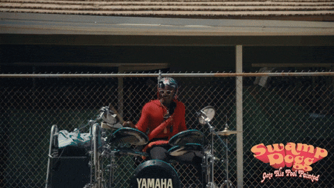 GIF by Magnolia Pictures