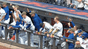 Major League Baseball Win GIF by New York Mets