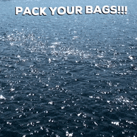 Grand Prize Mexico GIF by Blufox Mobile