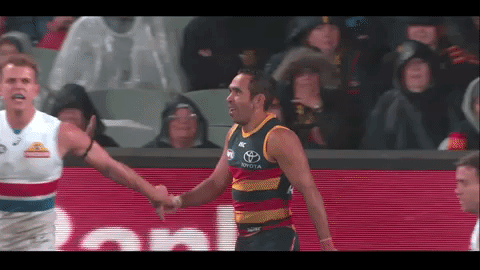 afl GIF by Adelaide Crows