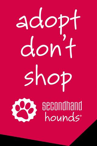 secondhandhounds shh adoptdontshop adopt dont shop animal rescue GIF