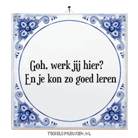 Wijsheid Troost Sticker by Tegelspreuken.nl