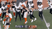 Nfl Playoffs Football GIF by NFL
