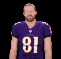 baltimore ravens no GIF by NFL