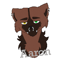 Aaron Sticker