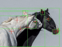 Horse Cyberpunk GIF by Database數據