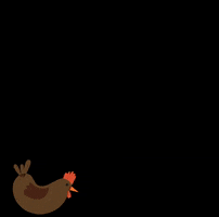bfc2019 chickenwalking GIF by Bristol Food Connections