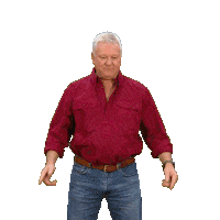 Renovate Channel 9 Sticker by The Block