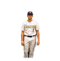 College Sports Baseball Sticker by Delaware Blue Hens