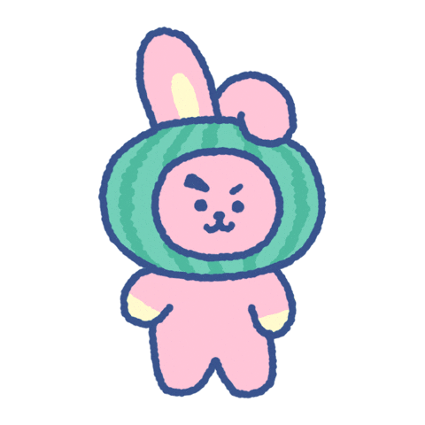 Watermelon Cooky GIF by BT21