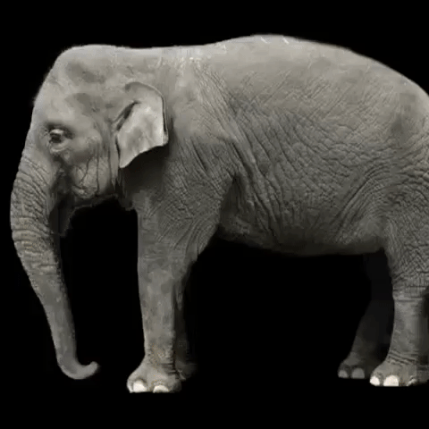 app GIF by The Videobook