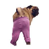 sassy twerk STICKER by imoji