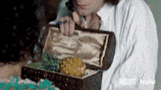london television GIF by HULU