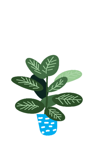 plant grow Sticker by Griffith Sport