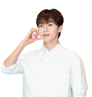 하트 세븐틴 Sticker by koreadispatch