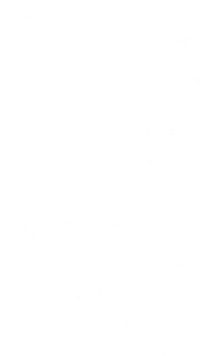 Gotigers Wareagle Sticker by Auburn University