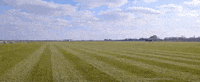 co GIF