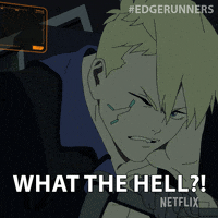 What The Hell Seriously GIF by Cyberpunk: Edgerunners